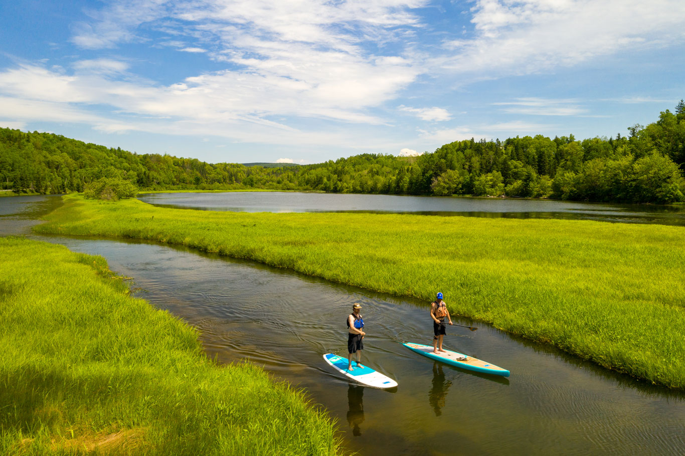 Friends paddle boarding in Mabou